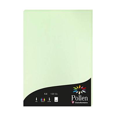 POLLEN Etui de 50 feuilles  A4 Vert 120g