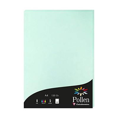 CLAIREFONTAINE  Etui De 50 Feuilles 210x297 Vert Jade 120g