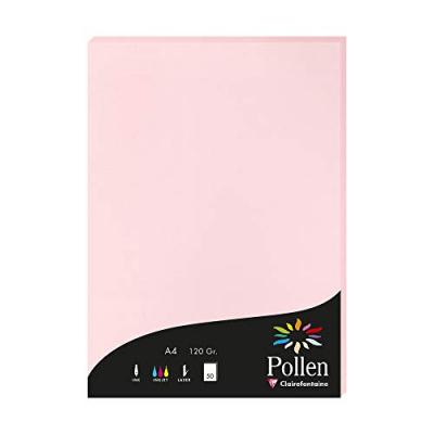 POLLEN Clairefontaine Etui De 50 Feuilles 210x297 Rose 120g
