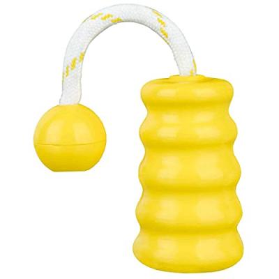 TRIXIE Caoutchouc flottant pour l'activit&eacute; des chiens Fun-Mot 22x9 cm 