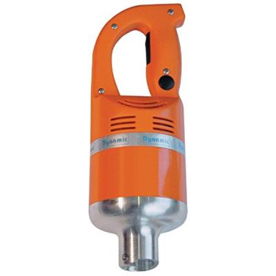 DYNAMIC Mixeur plongeant bloc moteur bm 2000 -  - acier inoxydable x350mm