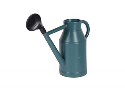EDA  - Arrosoir plastique rond Lyonnais + pomme 6 L