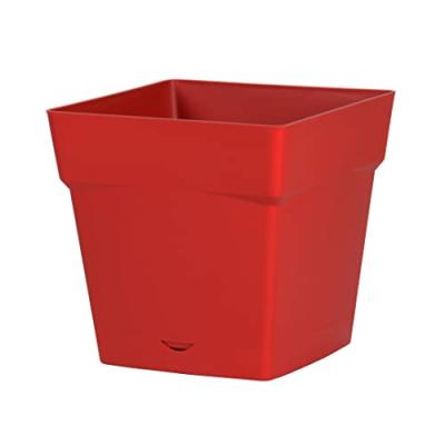 EDA Pot plastique carr&eacute; toscane soucoupe int&eacute;gr&eacute;e rubis 24,8 x 24,8 x 24
