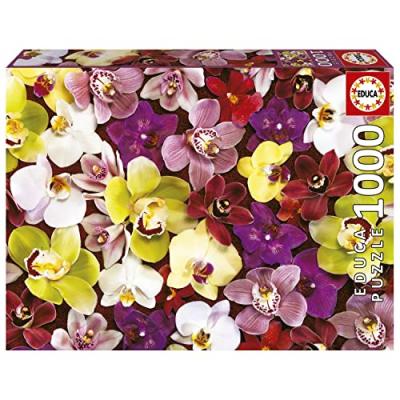 EDUCA BORRAS  1000 Pieces Orchids Collage Puzzle Multicolore