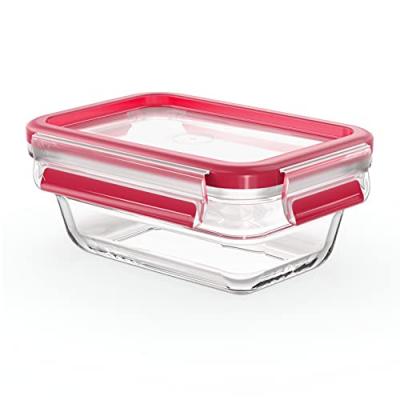 EMSA  Bo&icirc;te de conservation CLIP & CLOSE verre, 0,45 litre - Lot de 2