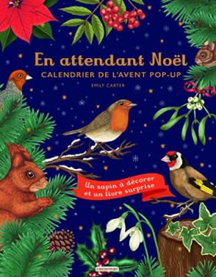 EMILY CARTER En Attendant No&euml;l : Calendrier De L'avent Pop-up