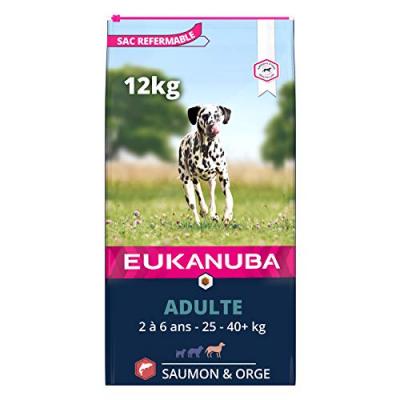 EUKANUBA  Adult Large Saumon & Orge pour chien 2 x 12 kg