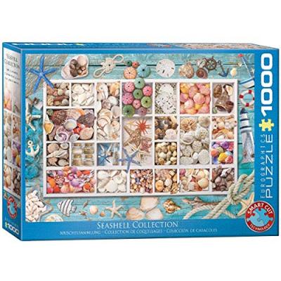 EUROGRAPHICS Puzzle 1000 pi&egrave;ces : collection de coquillages
