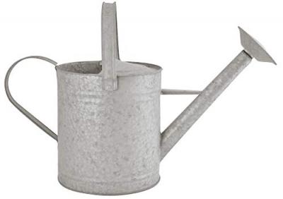 ESSCHERT DESIGN Ac-Deco Arrosoir 8,75 L - L 24 x l 55,5 x H 30,5 cm - Zinc Patin&eacute;