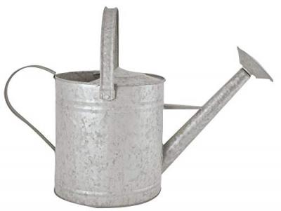 AC DECO Fallen Fruits Vieux Zinc 6,5&nbsp;L Arrosoir