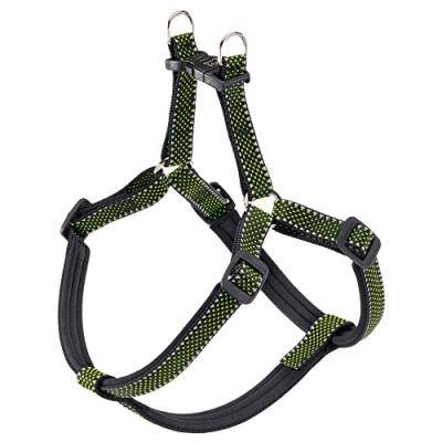 FERPLAST ARNES Daytona Deluxe Grand Vert