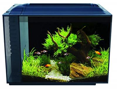 FLUVAL  Spec XV Aquarium de 60 l Noir
