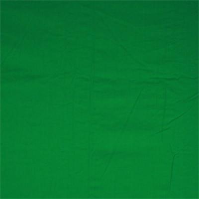 WALIMEX  fond en tissu vert 2,85x6m DFX-628488