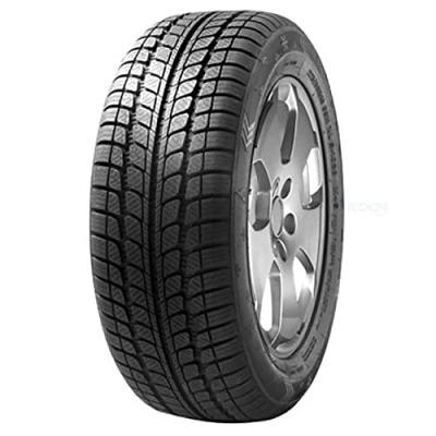 SUNNY Fortuna Winter - 205/55R16 91H - Pneu Neige