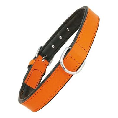  Gloria Collier pour chien en Cuir Gloria Padded 45 cm orange T.U