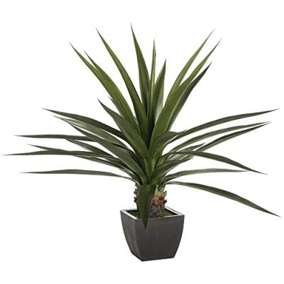 ATMOSPHERA Plante grasse en pot h. 130 cm instinct naturel - 