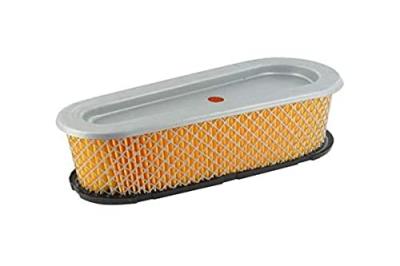 BRIGGS & STRATTON Jardin pratic filtre a air pour tondeuse - briggs + stratton