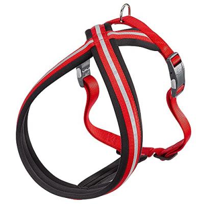 FERPLAST  Daytona Cross L Harness Rouge L