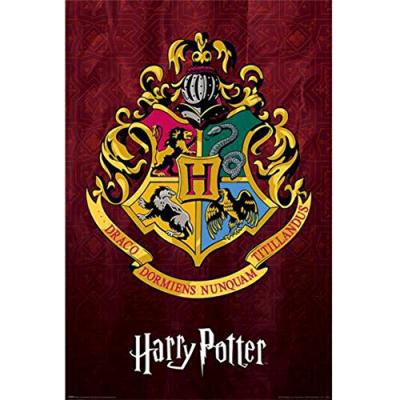 HARRY POTTER Pyramid International  - Hogwarts School Crest - Poster 6