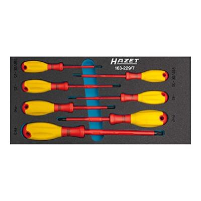 HAZET Module &agrave; outils 163-229/7 7 pi&egrave;ces nombre d'outils : 7 