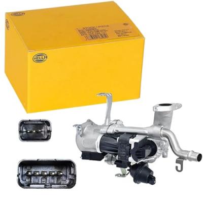 HELLA  Vanne EGR / AGR 6NU 010 171-181