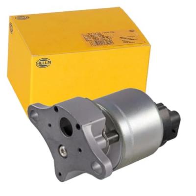 HELLA  6Nu 010 171-761 Vanne Egr - &Eacute;lectrique - 5P&ocirc;le - Avec Joint D'&Eacute;tanch&eacute;ite