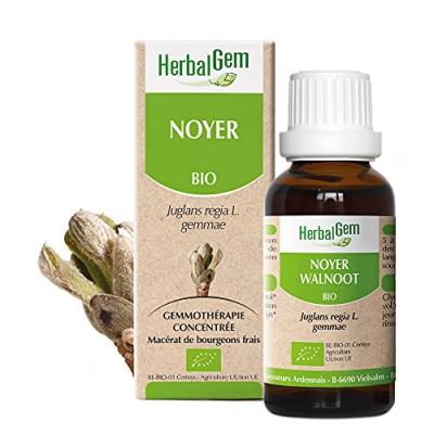 HERBALGEM  Mac&eacute;rat Concentr&eacute; de Noyer Bio 30ml
