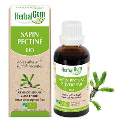 HERBALGEM  Mac&eacute;ratsM&eacute;res Concentr&eacute;s Sapin Pectin&eacute; 30ml