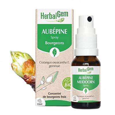 HERBALGEM Spray Aub&eacute;pine 15ml Bourgeons Bio 