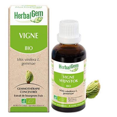 HERBALGEM  Vigne Mac&eacute;rat concentr&eacute;de bourgeons frais 30ml