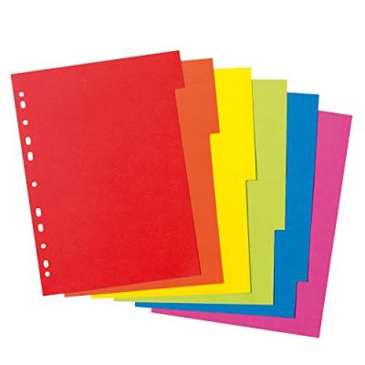 HERLITZ  Intercalaire En Carton, Uni, A4, Color&eacute;, De 6 Pi&egrave;ces