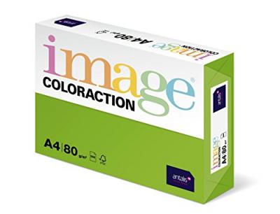 GENERIQUE Image Coloraction - Papier de Couleur Vert vif Java 80 g/m&sup2; A4 - Ramette de 500 feuilles