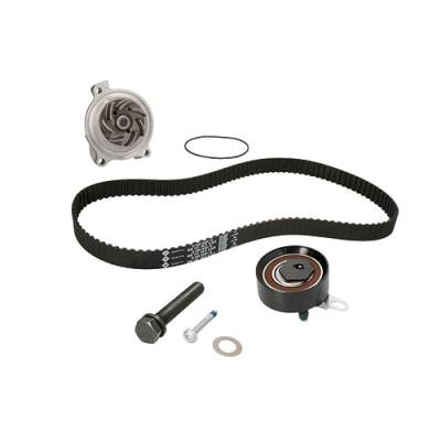 INA  530 0172 30 Pompe &agrave; eau + kit de courroie de distribution