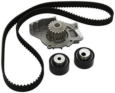 INA  530 0234 30 Pompe &agrave; eau + kit de courroie de distribution