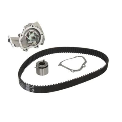 INA  530 0453 30 Pompe &agrave; eau + kit de courroie de distribution