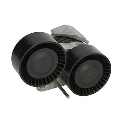 INA Tendeur, courroie trap&eacute;zo&iuml;dale a nervures  534 0496 10