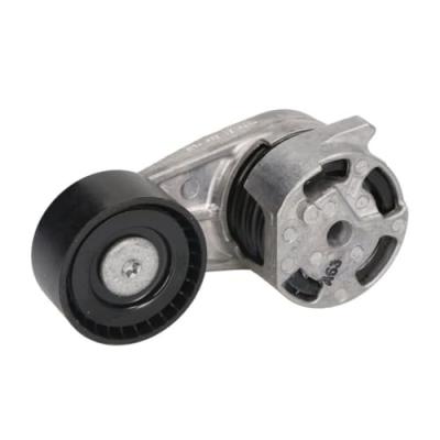 INA Tendeur courroie trap&eacute;zo&iuml;dale &agrave; nervures 534051610 