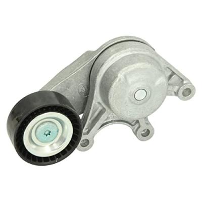 INA Tendeur courroie trap&eacute;zo&iuml;dale &agrave; nervures 534053510 