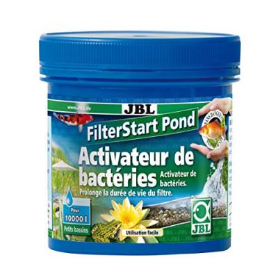 JBL Filterstart pond 250 gr (bassin)