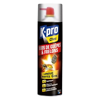 KAPO Insecticide a&eacute;rosol gu&ecirc;pes et frelons , 500 ml