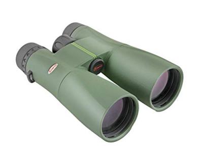 KOWA  Jumelles SV II 12 x 50 cm.