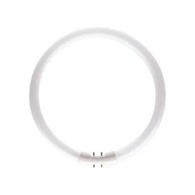 PHILIPS  MASTER TL5C Circulaire 22W - 830 Blanc Chaud | 22cm