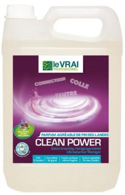 ACTION PIN Le VRAI PROFESSIONNEL - CLEAN POWER - bidon de 5 L