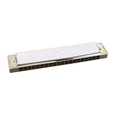 LEGLER GOKI Harmonica&nbsp;- 20 tons - L15,5cm - En&nbsp;bo&icirc;te&nbsp;carton