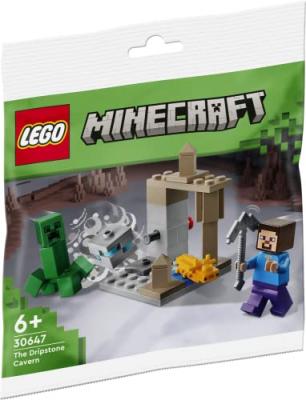 Lego Minecraft - La Caverne De Sp&eacute;l&eacute;oth&egrave;mes (Polybag) - 30647