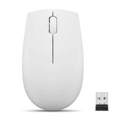 LENOVO  Souris compacte sans Fil 300  Gris Nuage