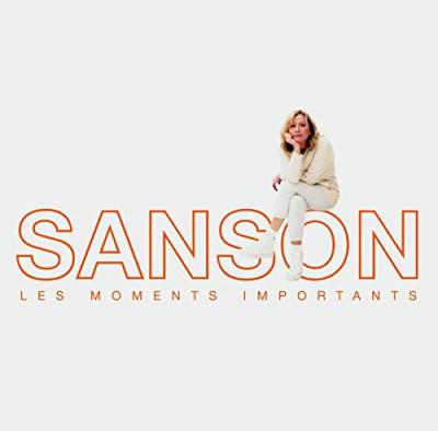 Les moments importants by V&eacute;ronique Sanson