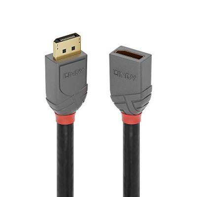 LINDY  Rallonge DisplayPort 1.4 Anthra Line, 1m, C&acirc;ble