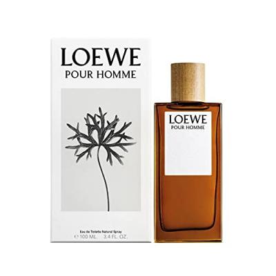 Loewe Pour Homme Eau De Toilette 100ml Vert Homme