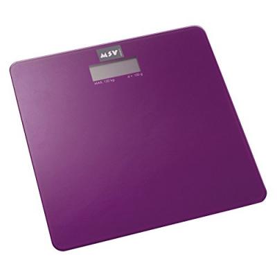 MSV Echelle  en verre tremp&eacute; violet